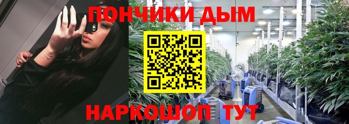 Конопля марихуана Мегион